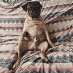 WhatsApp Image 2025-07-15 at 16.25.27