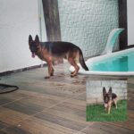 WhatsApp Image 2025-07-15 at 16.25.27 (2)