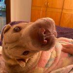 WhatsApp Image 2025-07-15 at 16.25.29