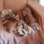 WhatsApp Image 2025-07-15 at 16.27.01 (1)