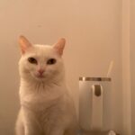 WhatsApp Image 2025-07-15 at 16.27.01