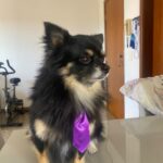 WhatsApp Image 2025-07-15 at 16.27.01 (2)