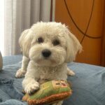 WhatsApp Image 2025-07-15 at 17.02.42