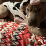 WhatsApp Image 2025-07-16 at 07.36.49