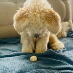 WhatsApp Image 2025-07-16 at 07.38.42